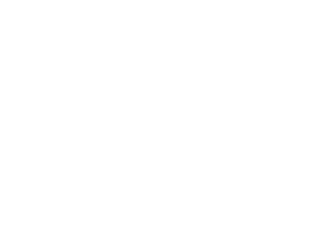 bgen neg